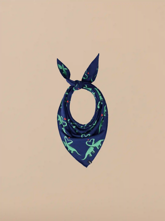 UltraModal™ BuddyBands™ | Saur in Love